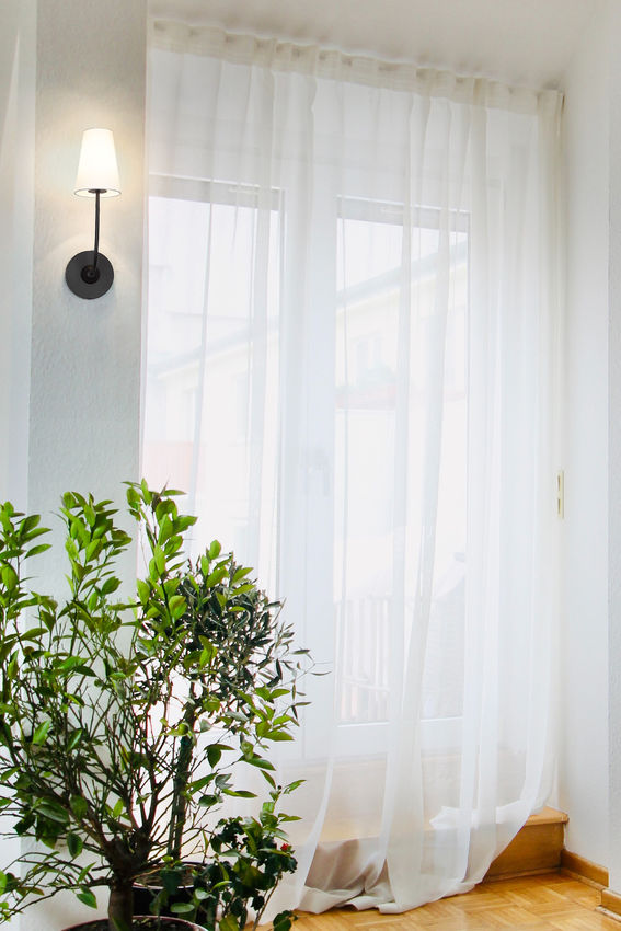 Shannon Wall Sconce