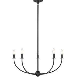 Shannon Chandelier