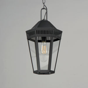 Oxford Outdoor 1-Light Pendant