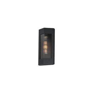 Triform 14" 1-Light Outdoor Wall Sconce