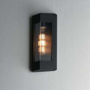 Triform 14" 1-Light Outdoor Wall Sconce