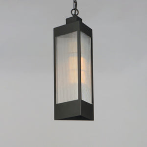 Triform 1-Light Outdoor Pendant