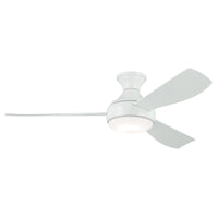 54 Inch Ample Fan