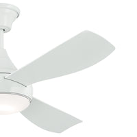 54 Inch Ample Fan