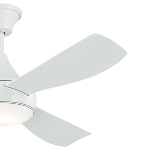 54 Inch Ample Fan