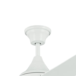 54 Inch Ample Fan