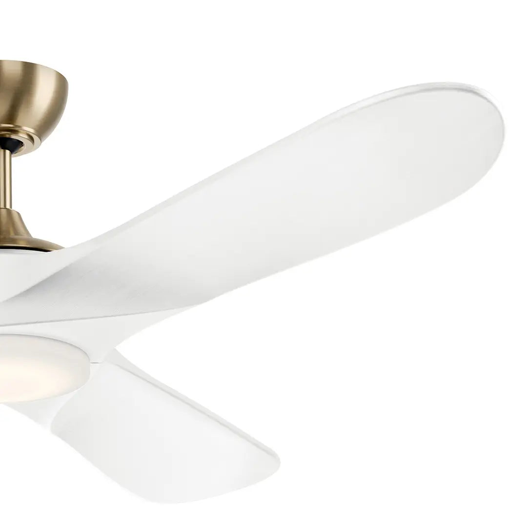 60 Inch Mylo Fan