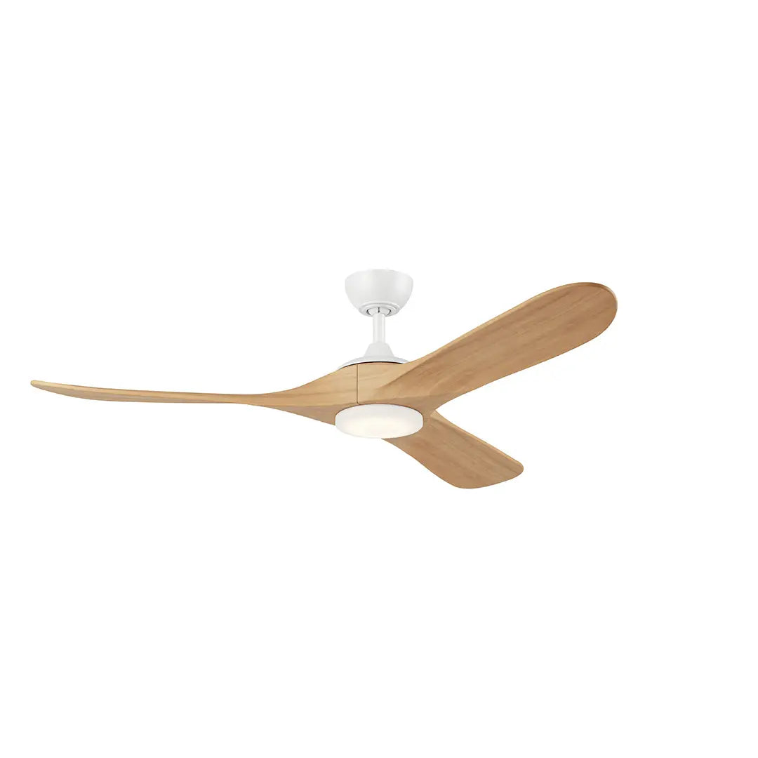 60 Inch Mylo Fan