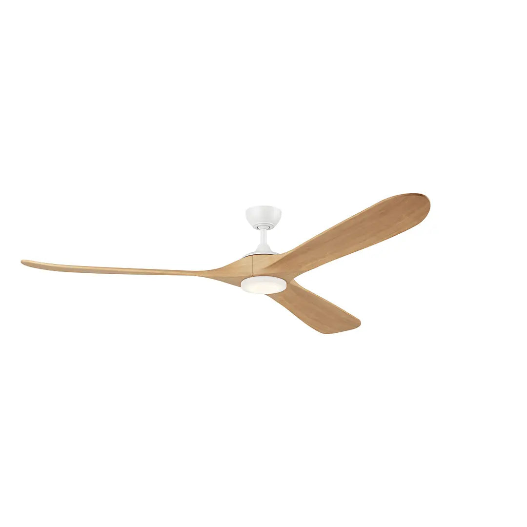 80 Inch Mylo Fan