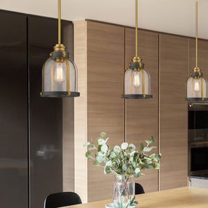 Burren 1 Light Pendant