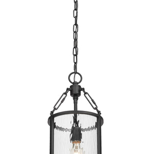 Barrington 1 Light Pendant