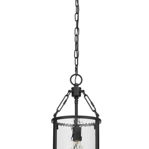 Barrington 1 Light Pendant
