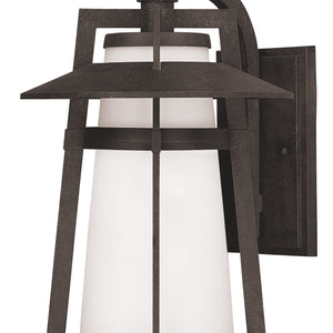 Calistoga 1-Light Outdoor Wall Lantern