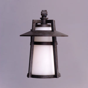 Calistoga 1-Light Outdoor Wall Lantern