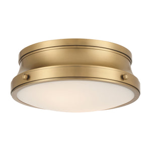 Purelight 15-IN Flush mount