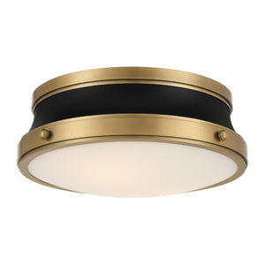 Purelight 15-IN Flush mount