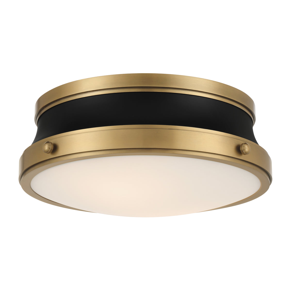 Purelight 15-IN Flush mount