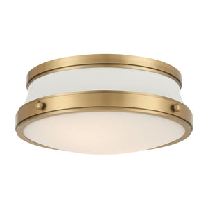 Purelight 15-IN Flush mount