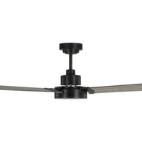 Jovie 44" Ceiling Fan