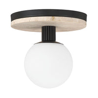 Carnagie 8" Integrated LED Flush Mount