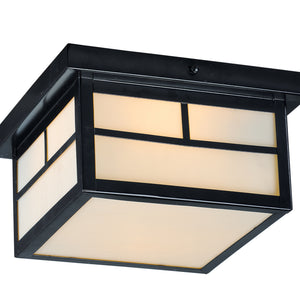 Coldwater 2-Light Outdoor Ceiling Mount