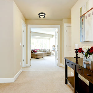 Willow 2 Light Flush Mount