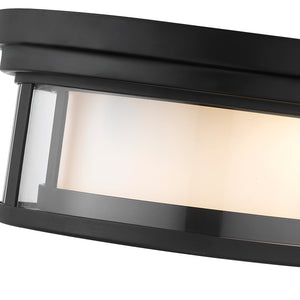 Willow 2 Light Flush Mount