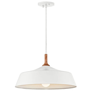 Danika Pendant 1Lt