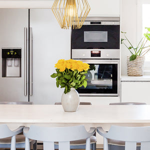 Quintus 1 Light Pendant