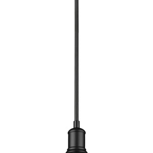 Sawyer 1 Light Pendant
