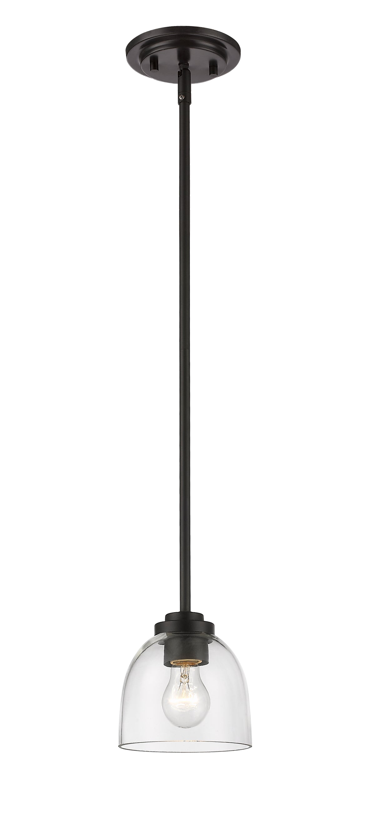 Ashton  1 Light Pendant