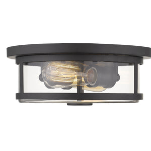 Savannah 2 Light Flush Mount