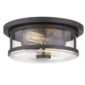 Savannah 2 Light Flush Mount