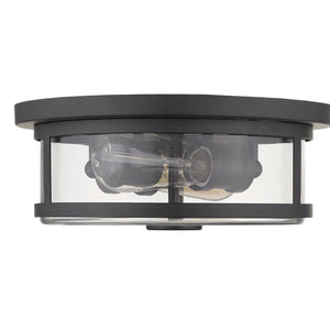 Savannah 2 Light Flush Mount