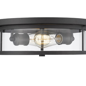 Savannah 2 Light Flush Mount