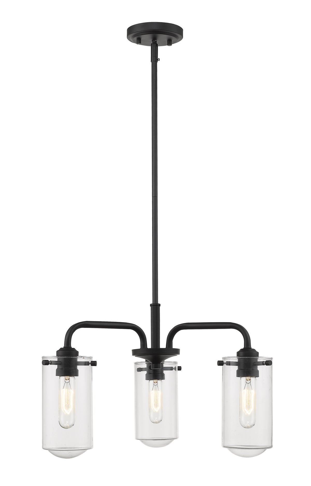 Delaney 3 Light Chandelier