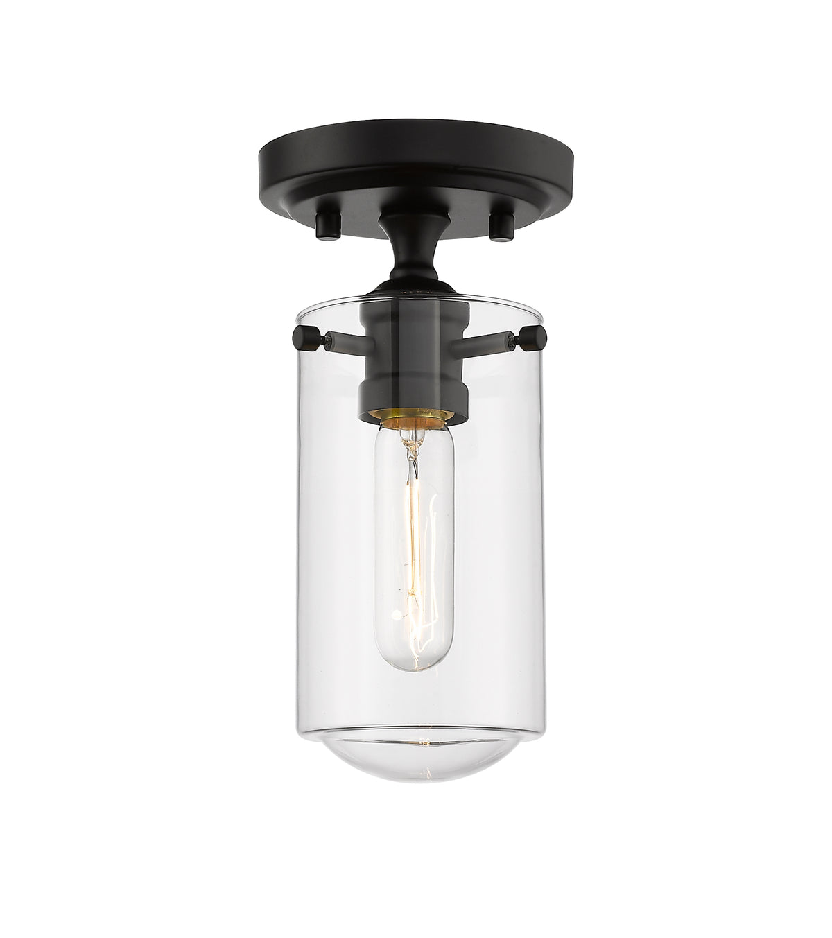 Delaney 1 Light Flush Mount