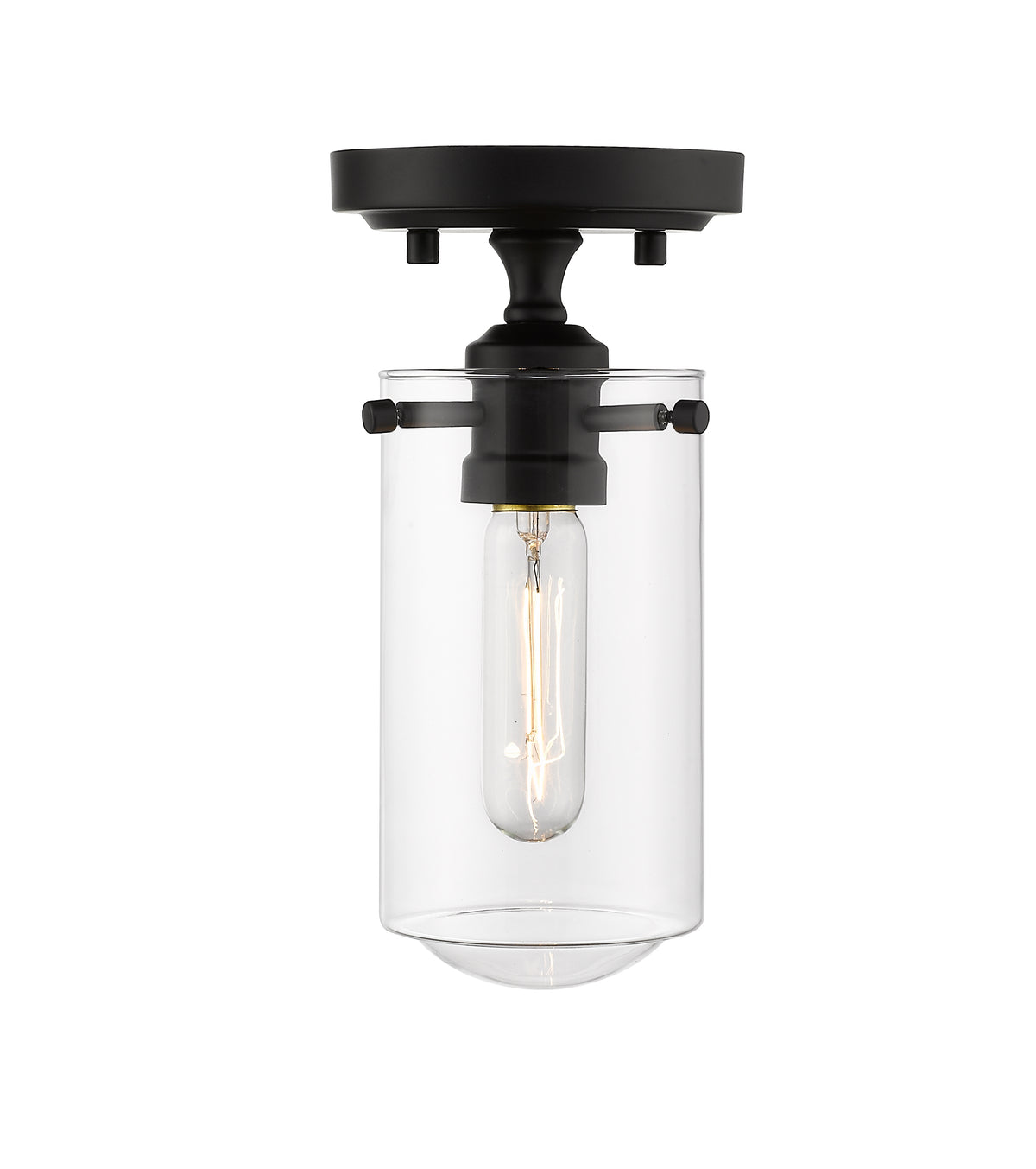Delaney 1 Light Flush Mount