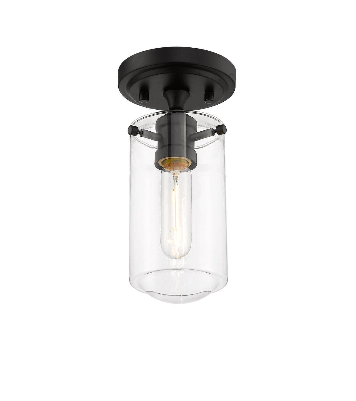 Delaney 1 Light Flush Mount