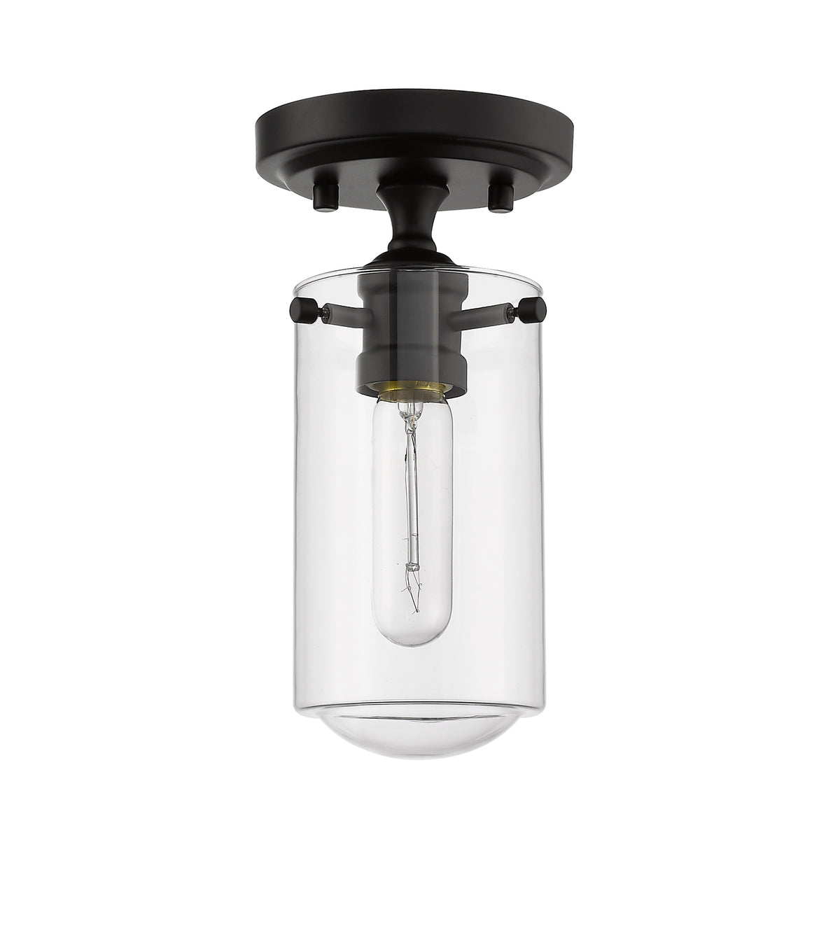 Delaney 1 Light Flush Mount