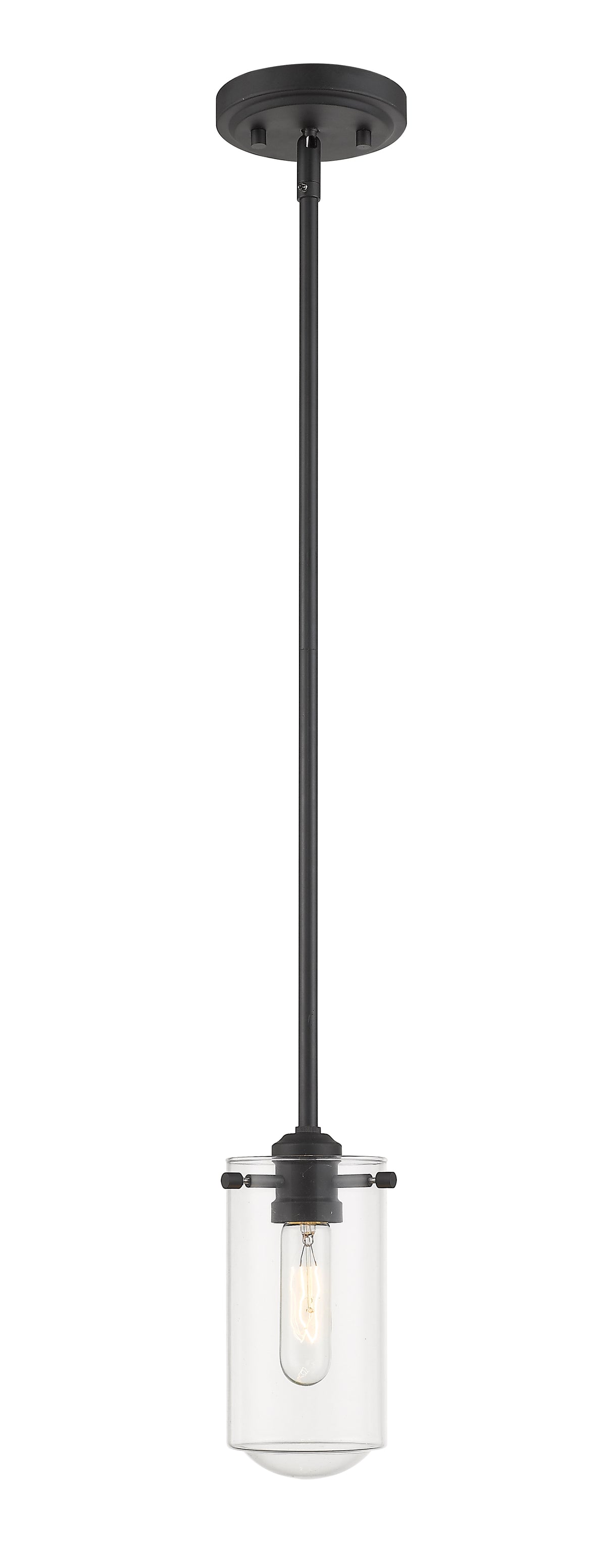 Delaney 1 Light Pendant