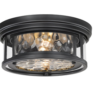 Clarion 2 Light Flush Mount