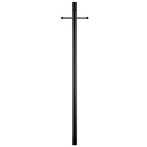Post w/Ext Photocell & Ladder