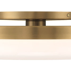 Harwel 18" Integrated LED Flush Mount