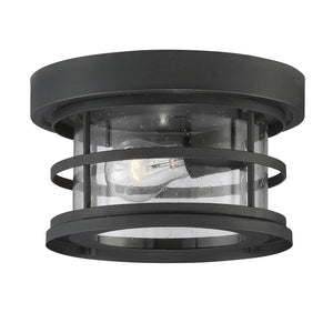 Barrett 1-Light Outdoor Ceiling Light