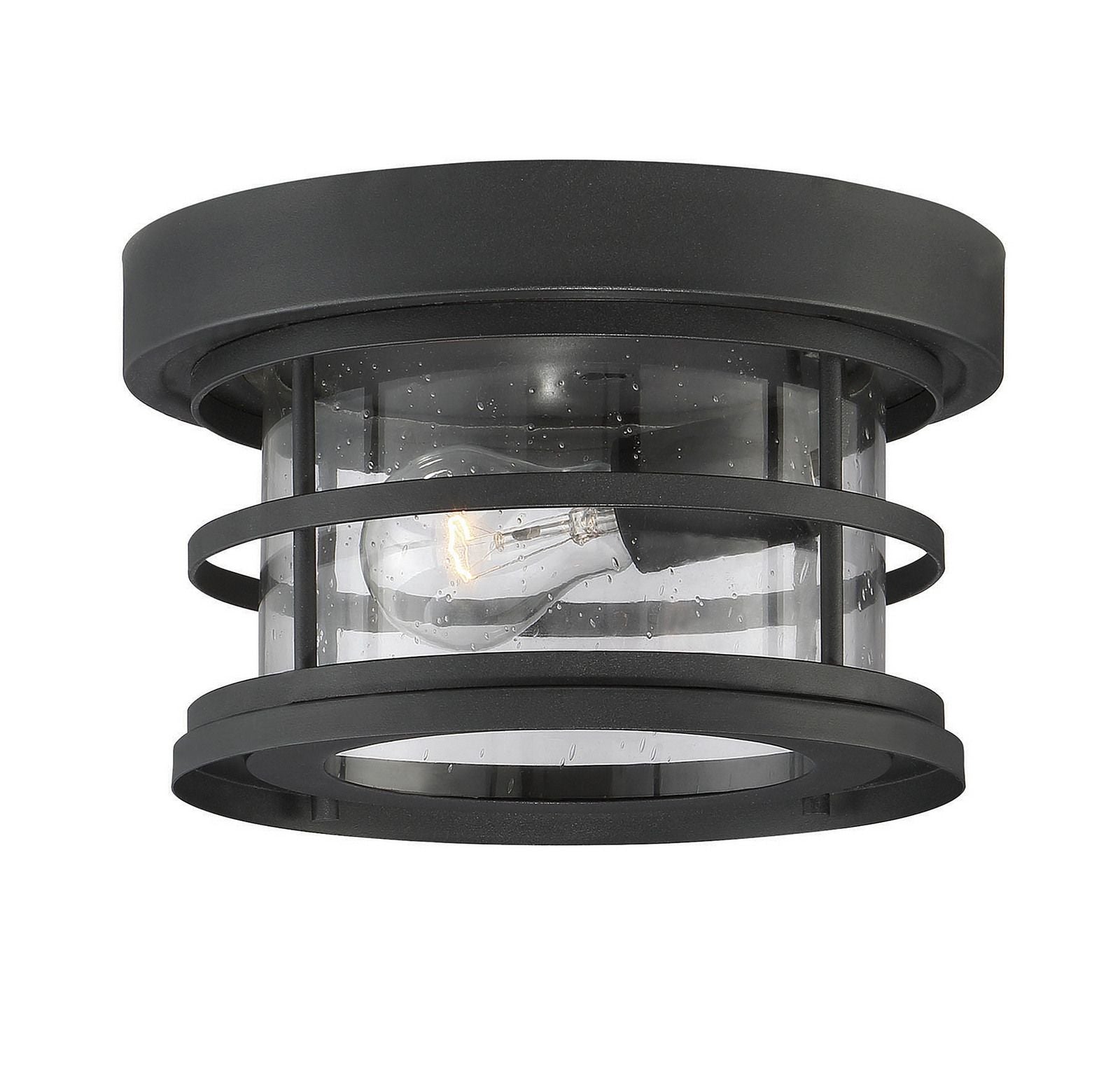 Barrett 1-Light Outdoor Ceiling Light
