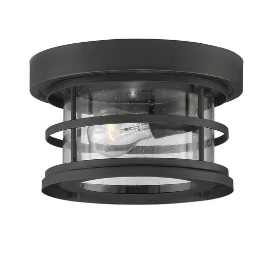 Barrett 1-Light Outdoor Ceiling Light