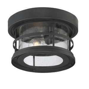 Barrett 1-Light Outdoor Ceiling Light