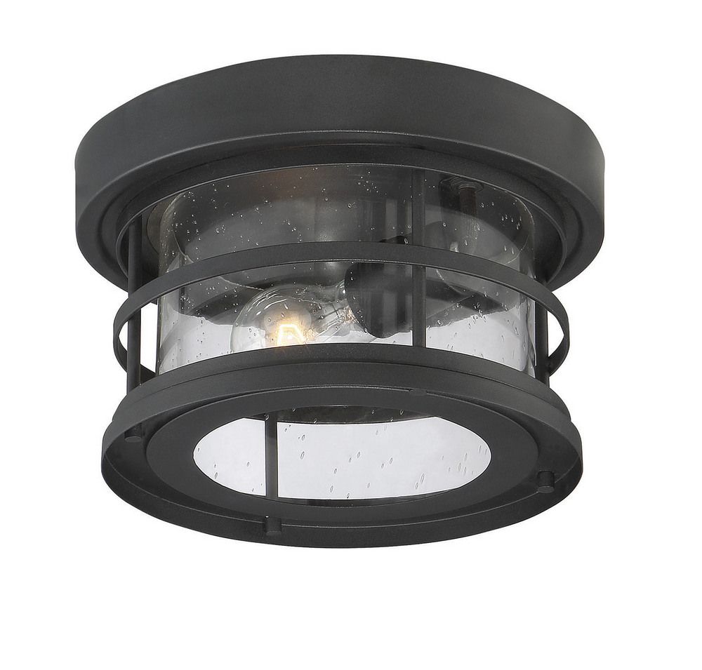Barrett 1-Light Outdoor Ceiling Light