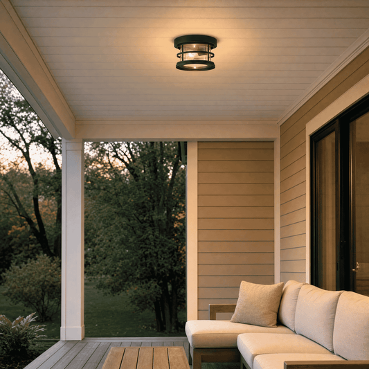 Barrett 1-Light Outdoor Ceiling Light